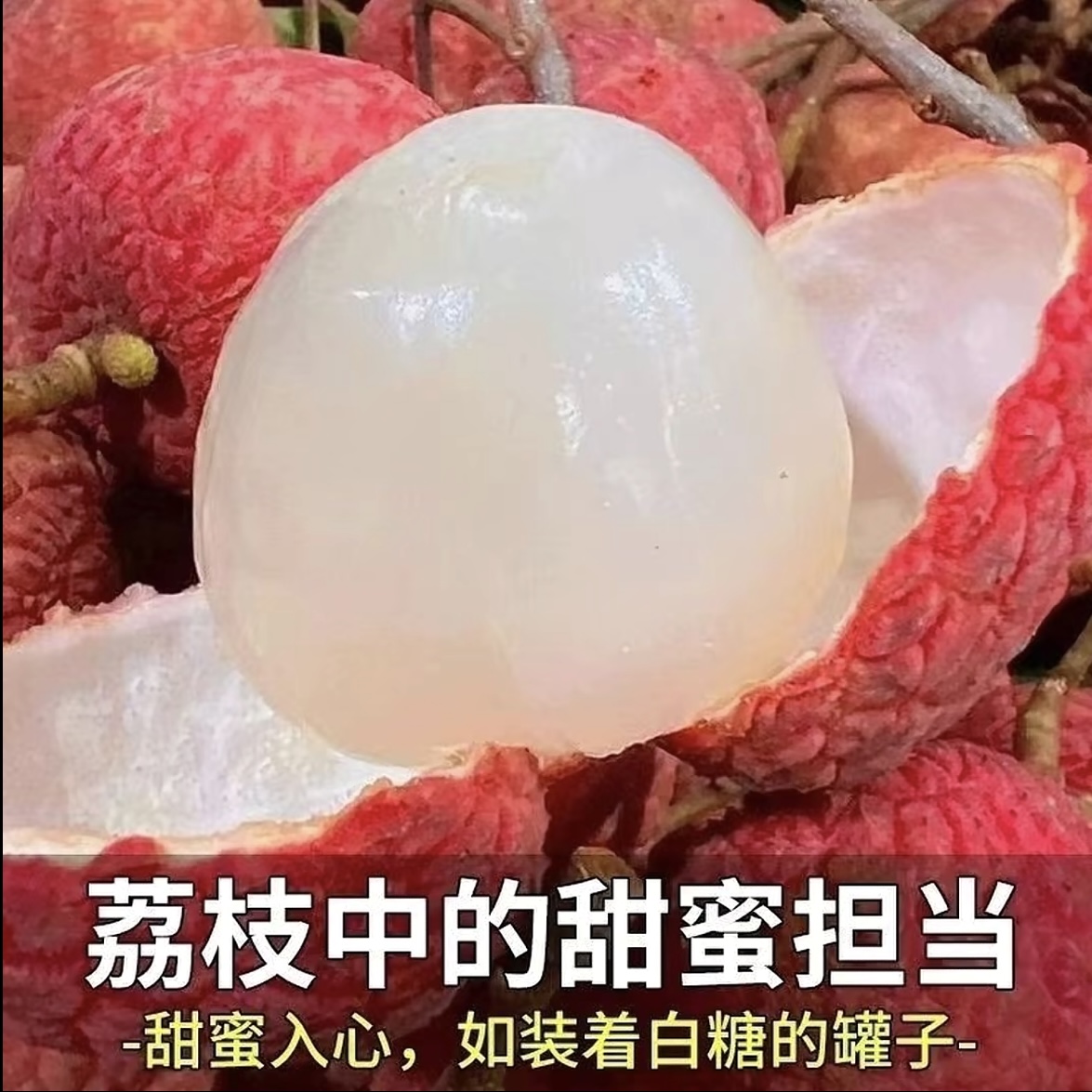 【京东/极兔冷链专线】广东白糖罂荔枝当季新鲜采摘多仓发货