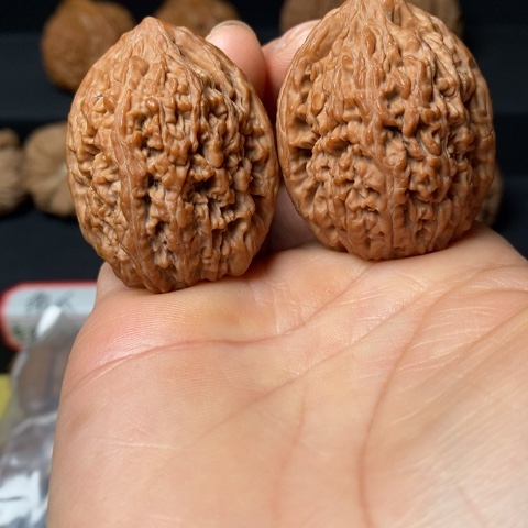 文玩核桃全品蒜头尺35