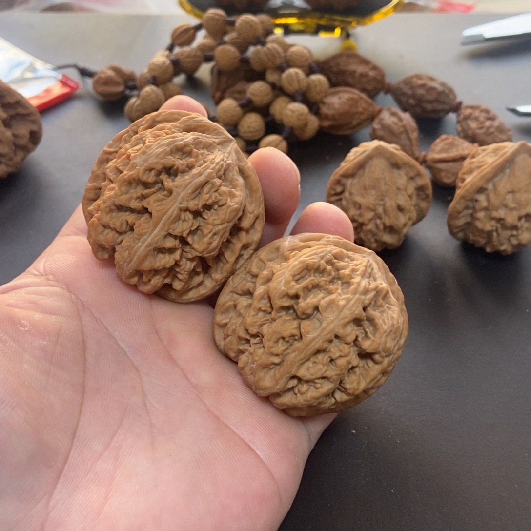 大叶紫檀（黑酸枝木类）粗筋