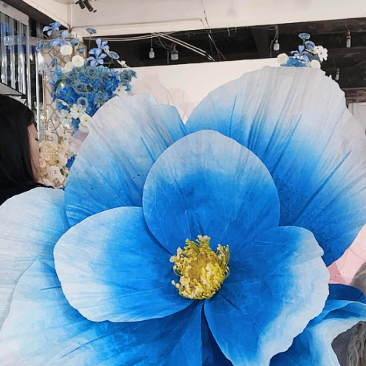 【闪购商品】单花头