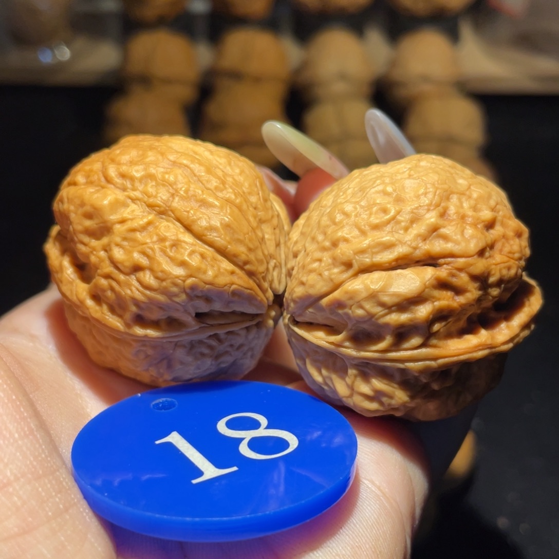 菊花元宝39尺寸核桃