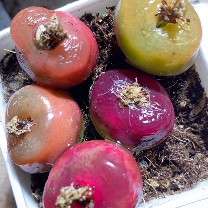 3100一组一组一组