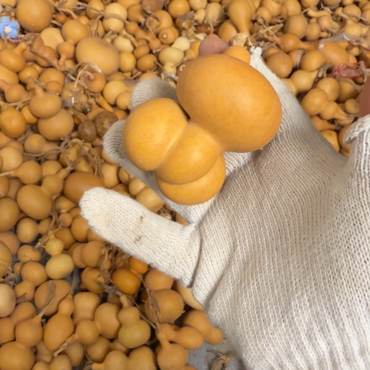 葫芦9.9.9.9.9.9.9.9