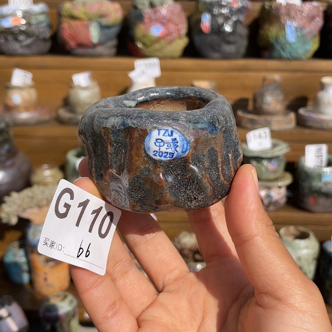 坛子姐花盆 子彧孤品 内口4