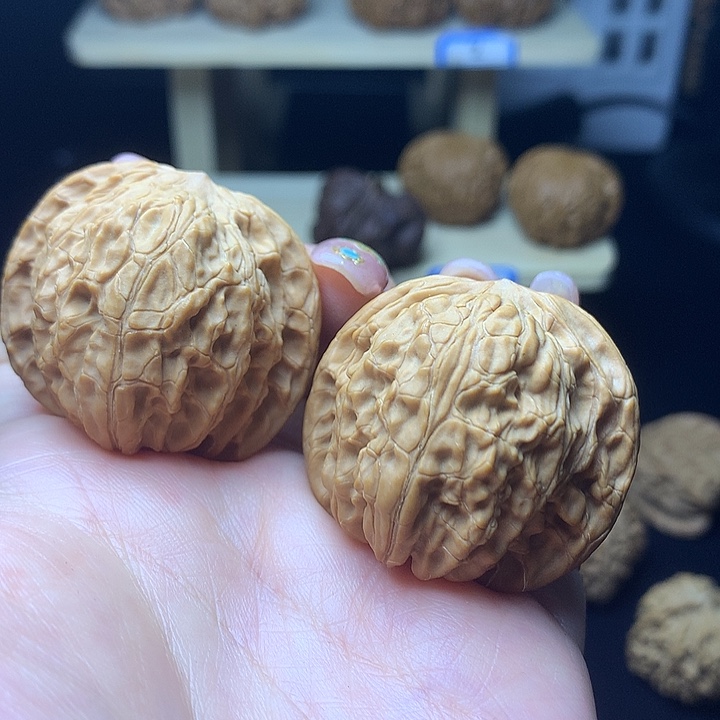 山地磨1111111111111111111