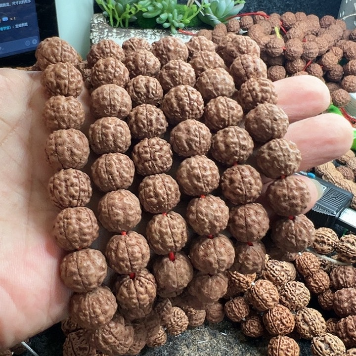 志***）金刚菩提手串红皮跳跳龙脖挂