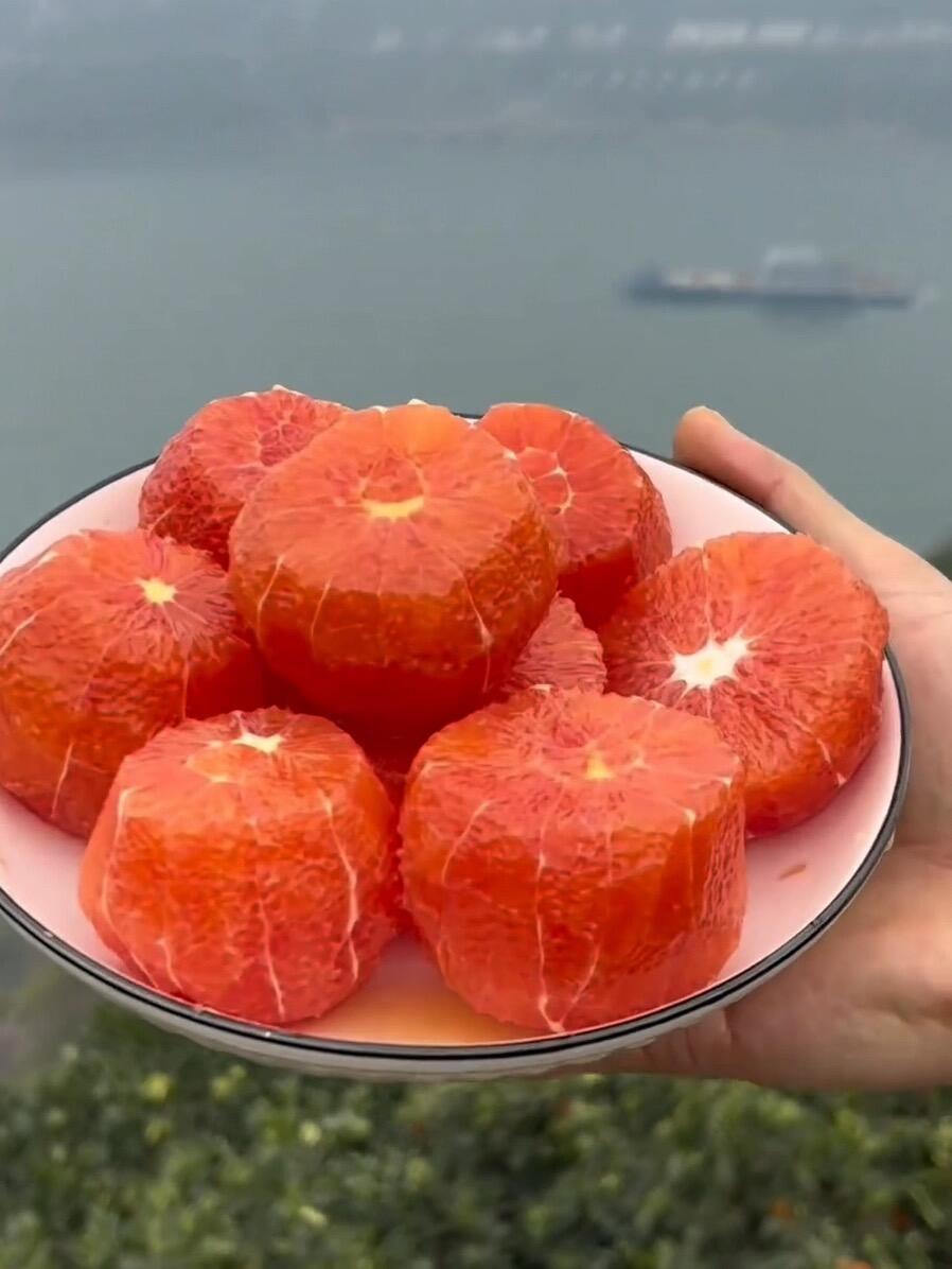 【现摘现发】血橙新鲜水果秭归中华红血橙红心橙子斤脐红橙孕妇水果