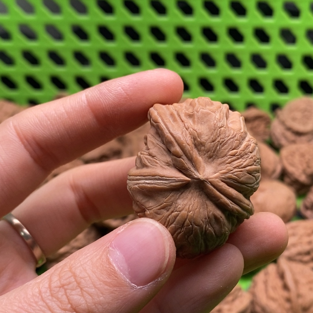 爆***丹核桃定制商品不退不换