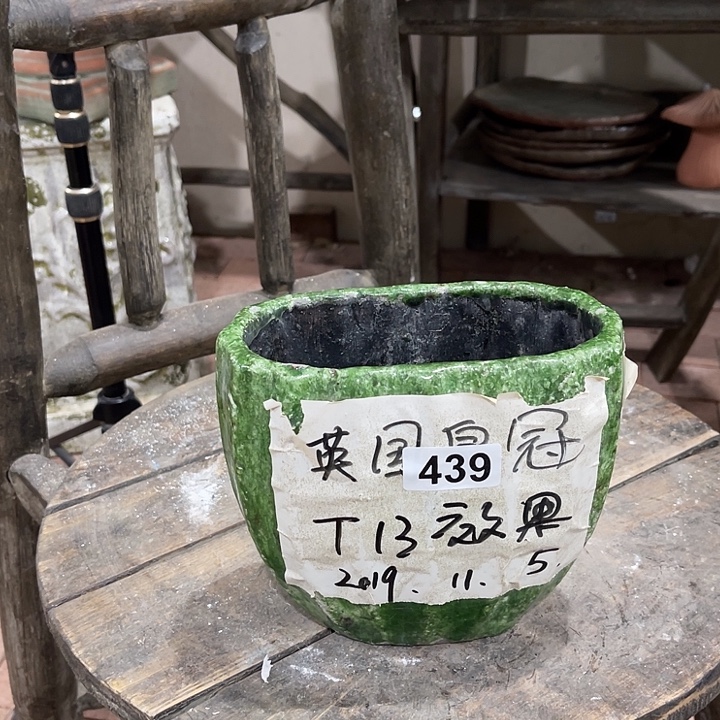 刘***媛439绿色椭圆11111