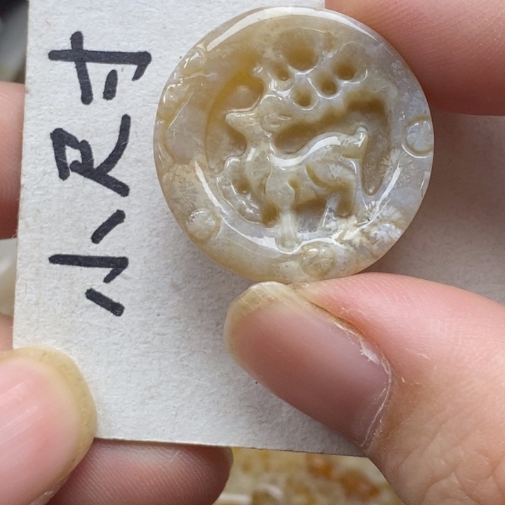 硅化珊瑚（珊瑚玉）未镶嵌颈饰