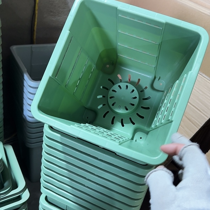 方22口径6个无托浅绿