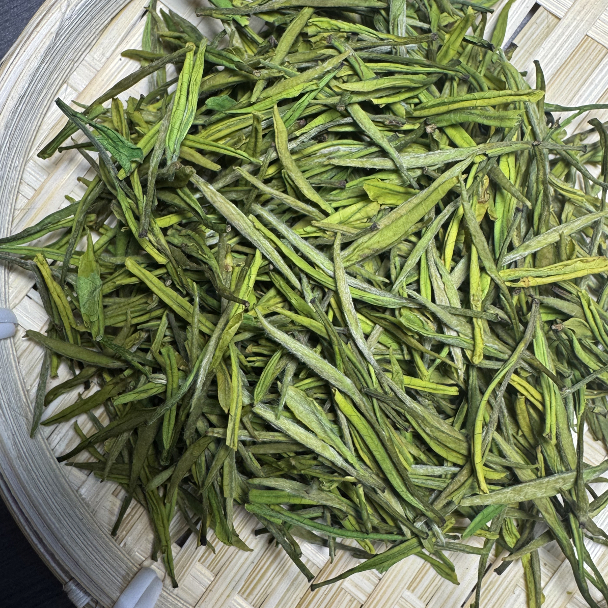 雨前高山绿茶新茶春茶安吉白茶小芽特级