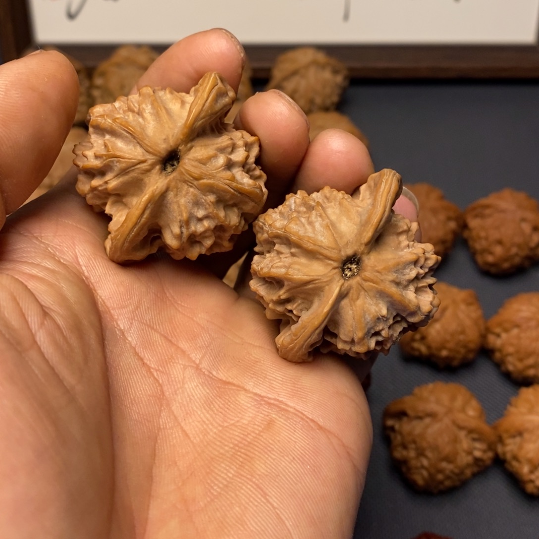 文玩核桃把件大耳朵图图