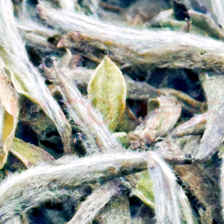 嘉木福萱草系列白毫银针（福鼎白茶）2018年