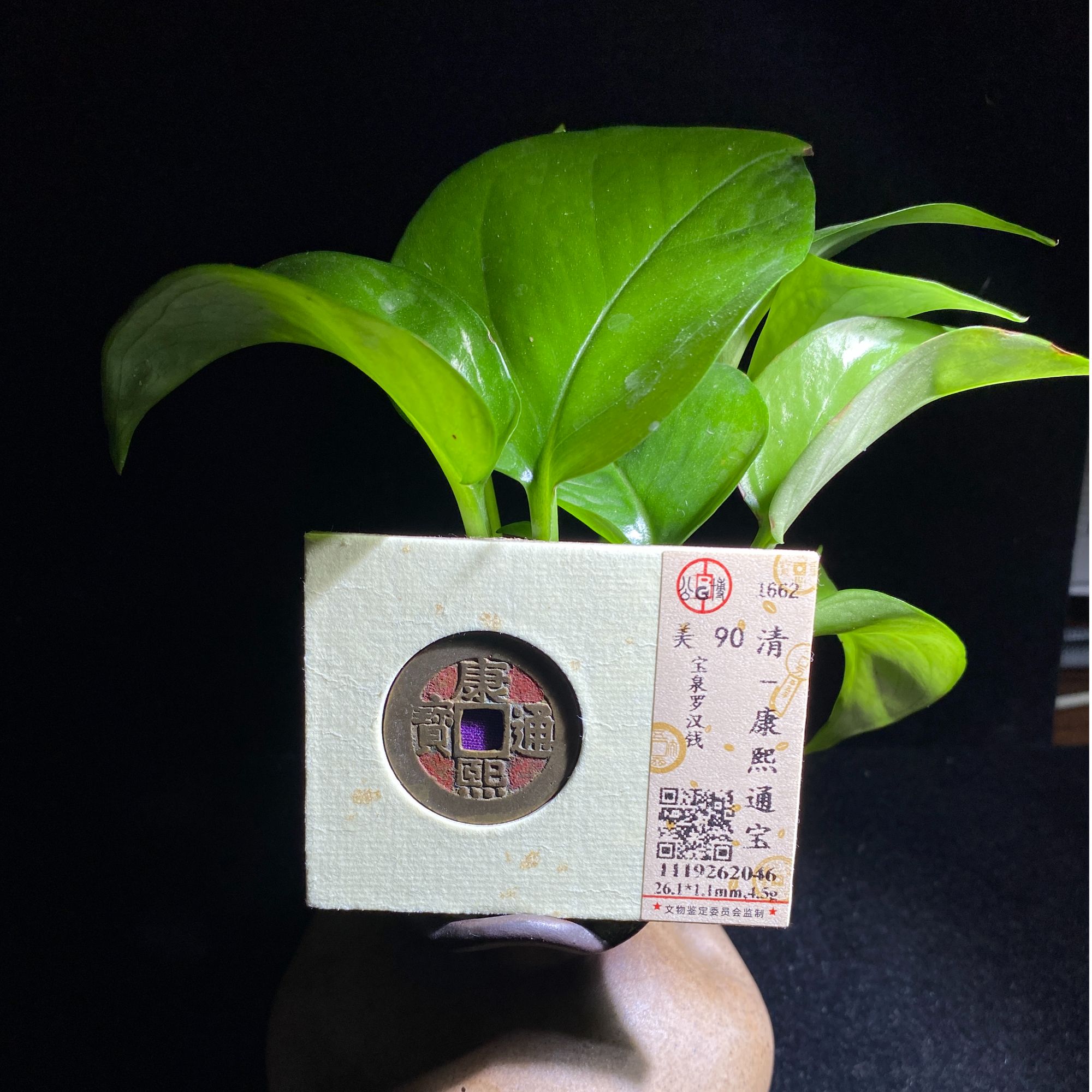 公博评级90分康熙通宝宝泉罗汉钱一枚