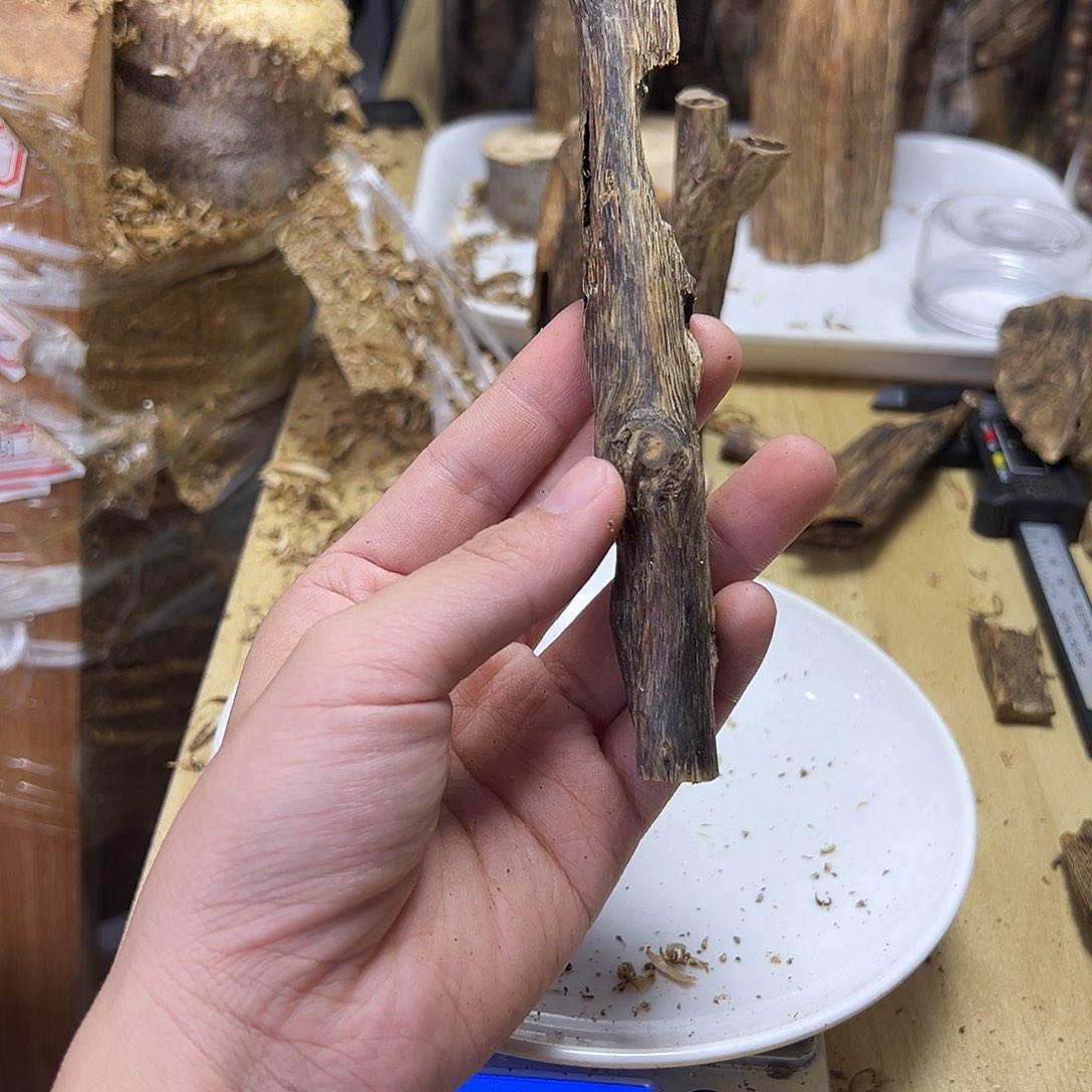 木绿奇楠虫漏12克