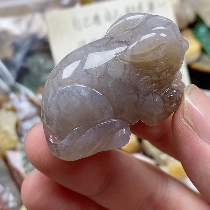 硅化珊瑚（珊瑚玉）未镶嵌颈饰