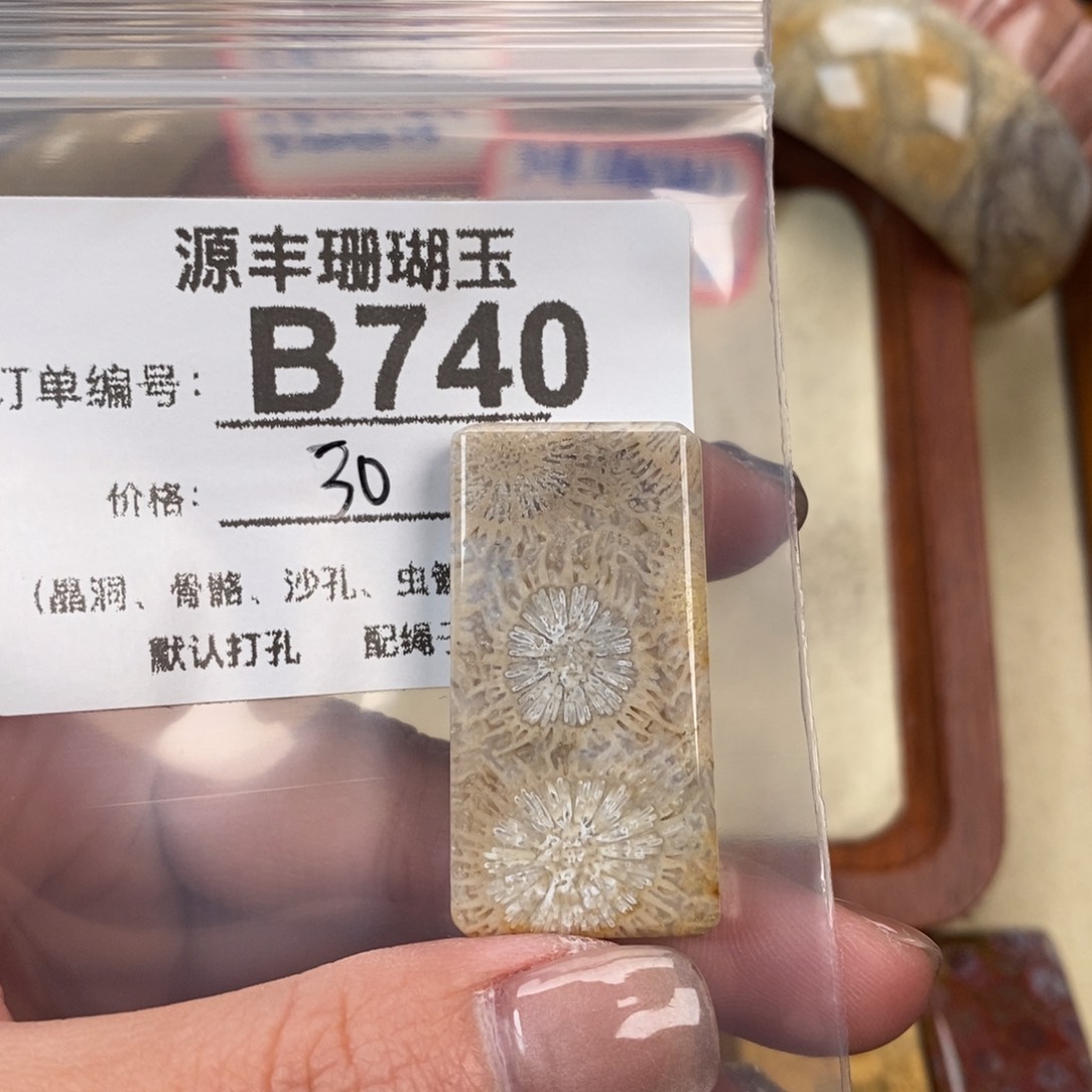硅化玉颈饰未镶嵌在****果