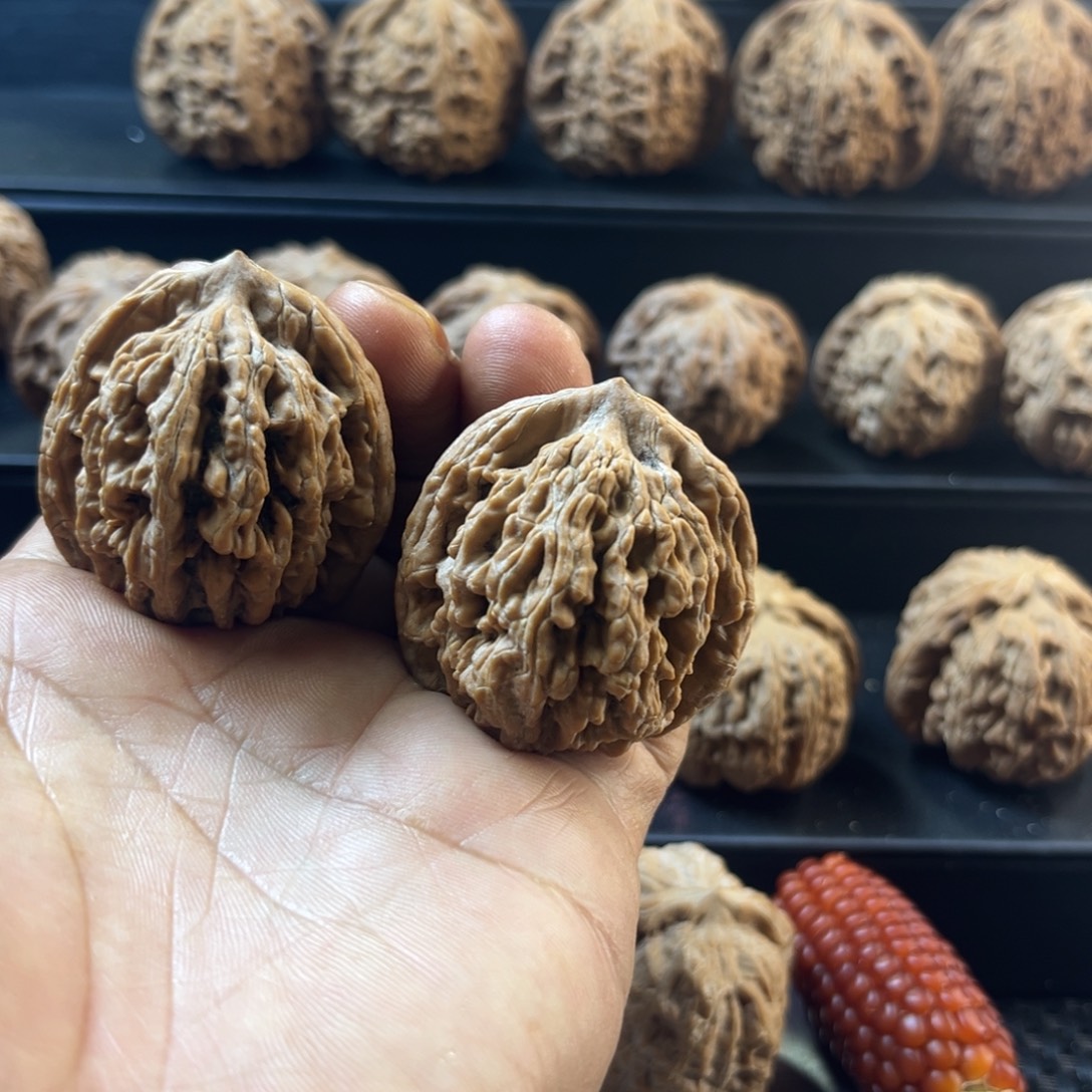 酷***大叶紫檀（黑酸枝木类）