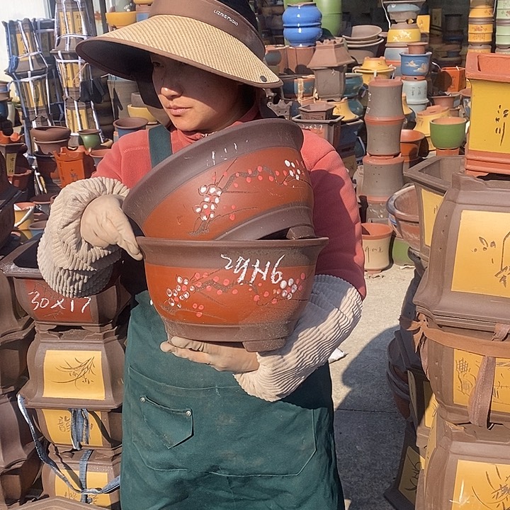 紫砂花盆紫砂花盆