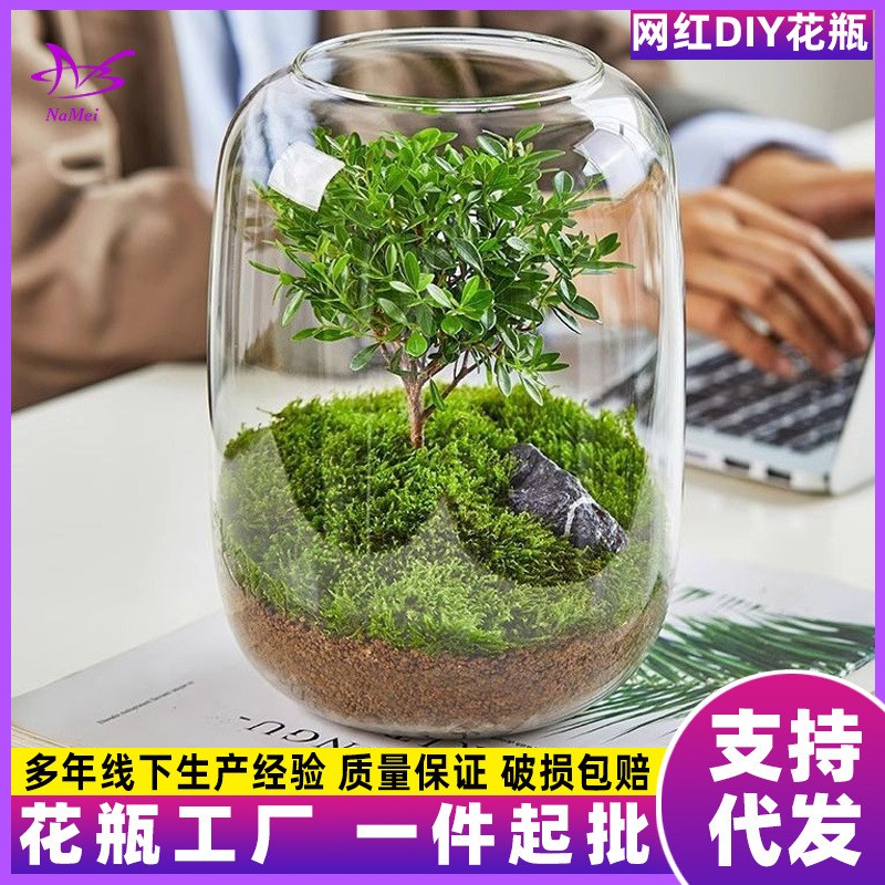 微景观DIY植物瓶玻璃花瓶装饰鱼缸办公室桌面客厅网红摆件批发
