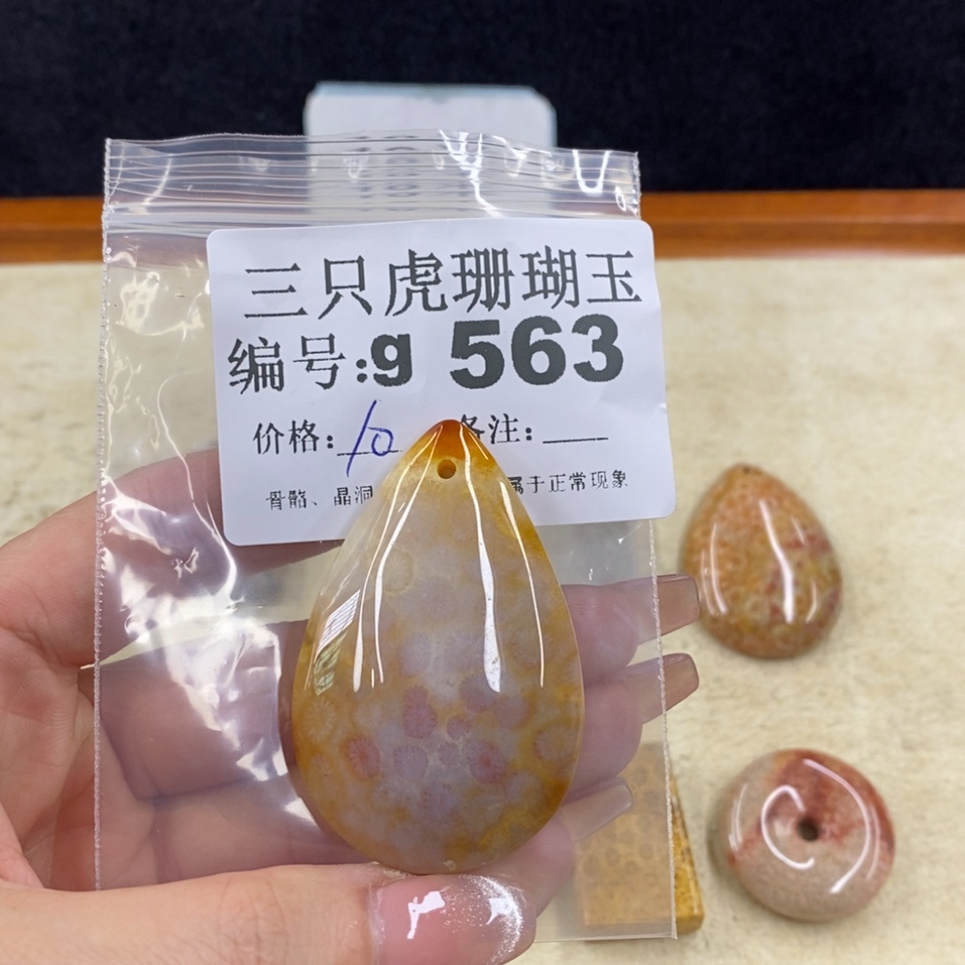 硅化珊瑚（珊瑚玉）未镶嵌1?*