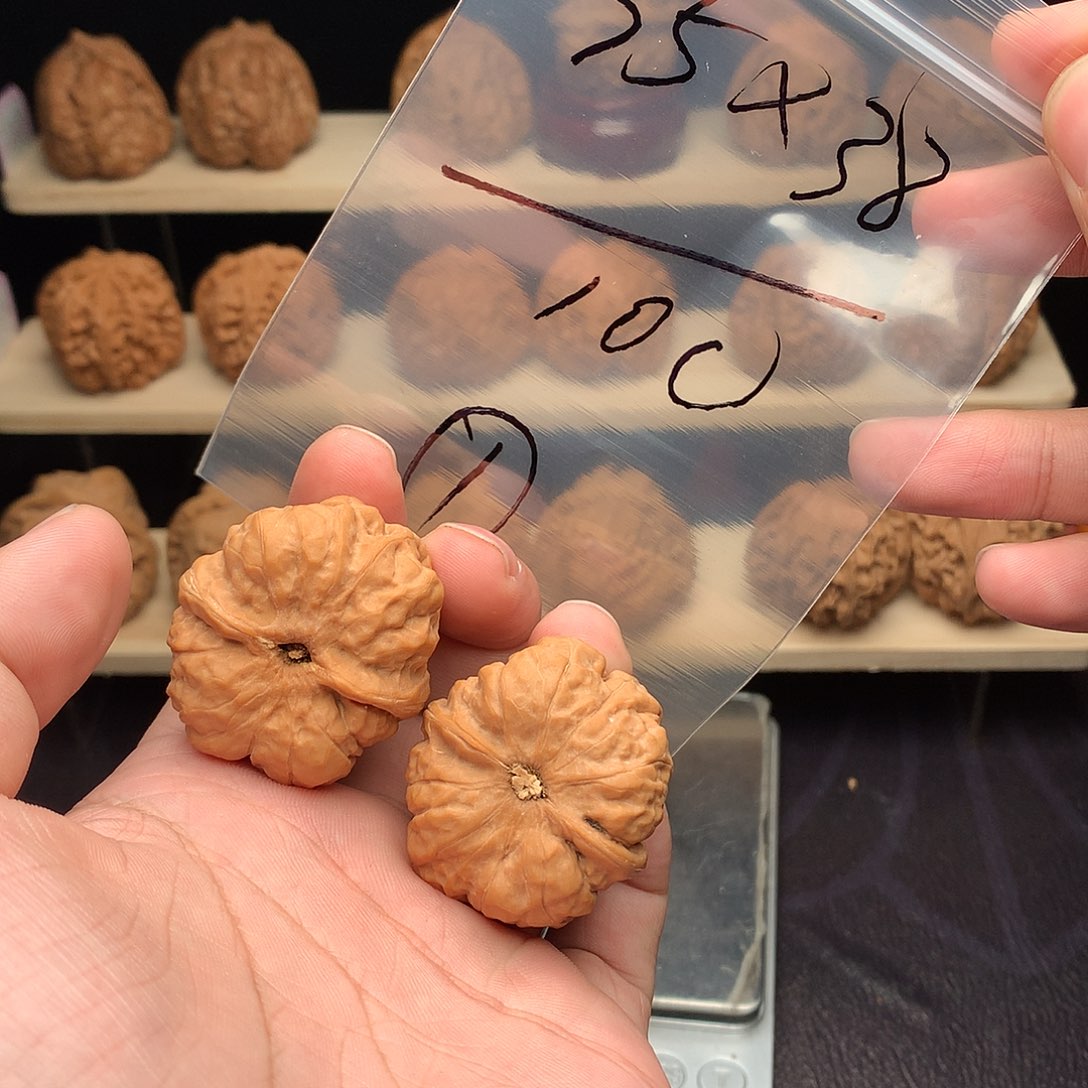 彬***o核桃蛤蟆头35尺100