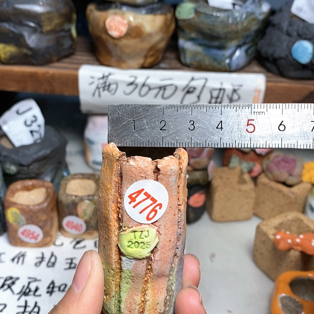 红陶拍5送一个小