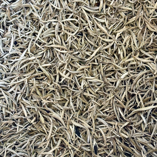 2025年 冰岛 白毫银针 云南白茶散茶100g