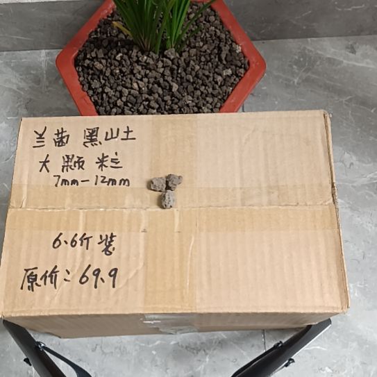 钉***哥兰菌黑山土大颗粒6.6斤