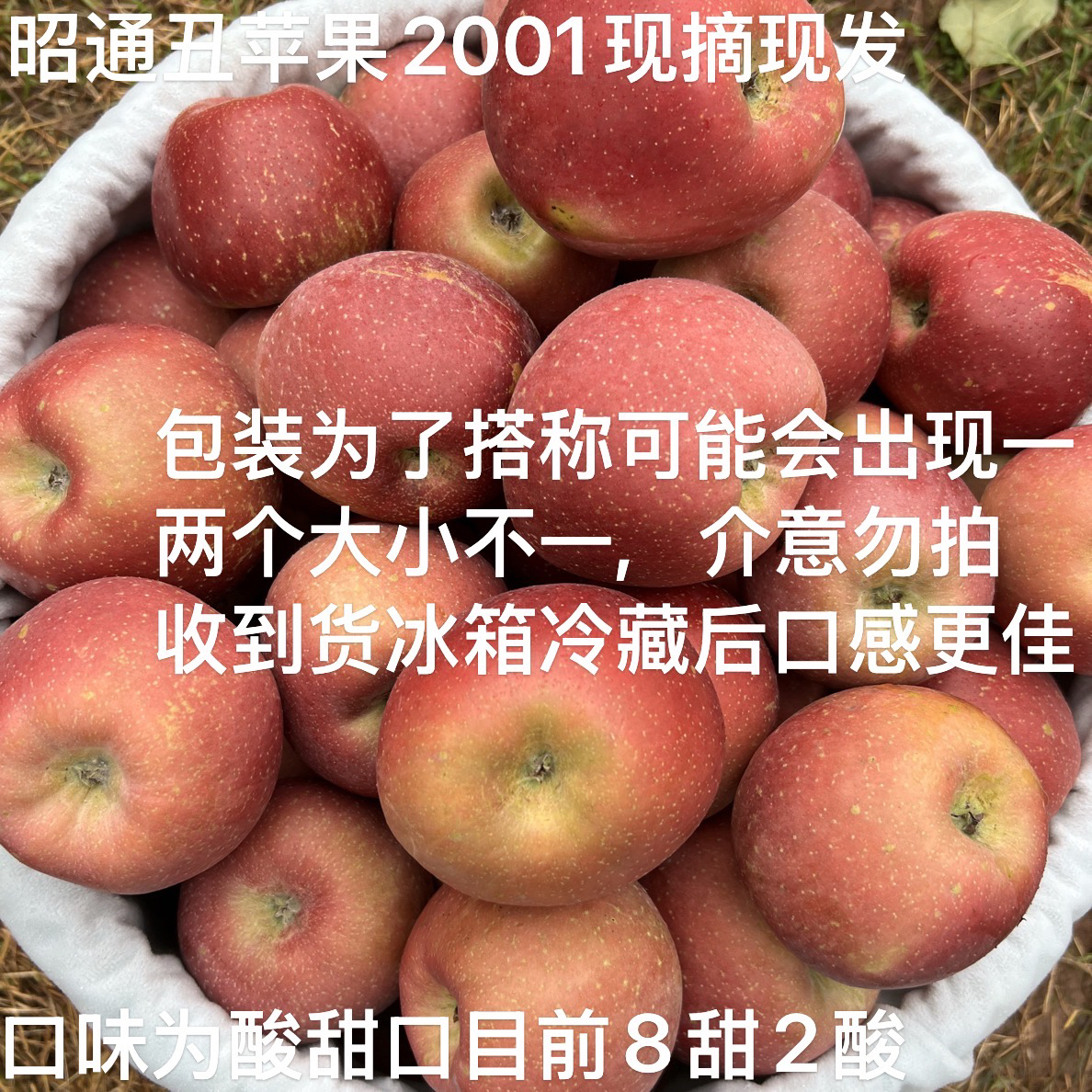 云南昭通红富士丑苹果新鲜现摘现发酸甜可口【宝子们8甜2酸】
