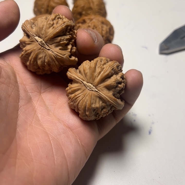 你***么文玩核桃把件白狮子