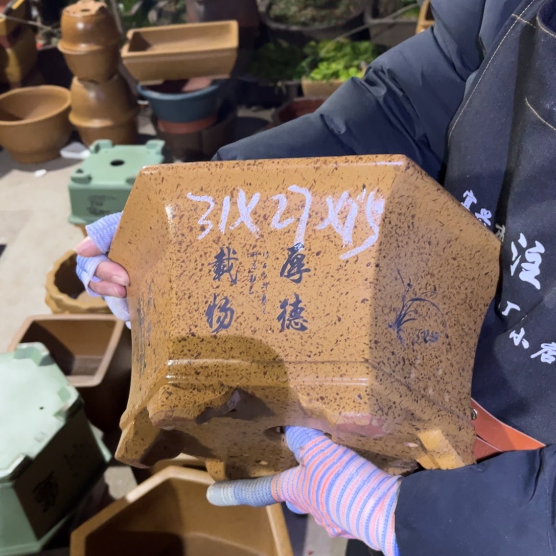 紫砂花盆盆景艺术