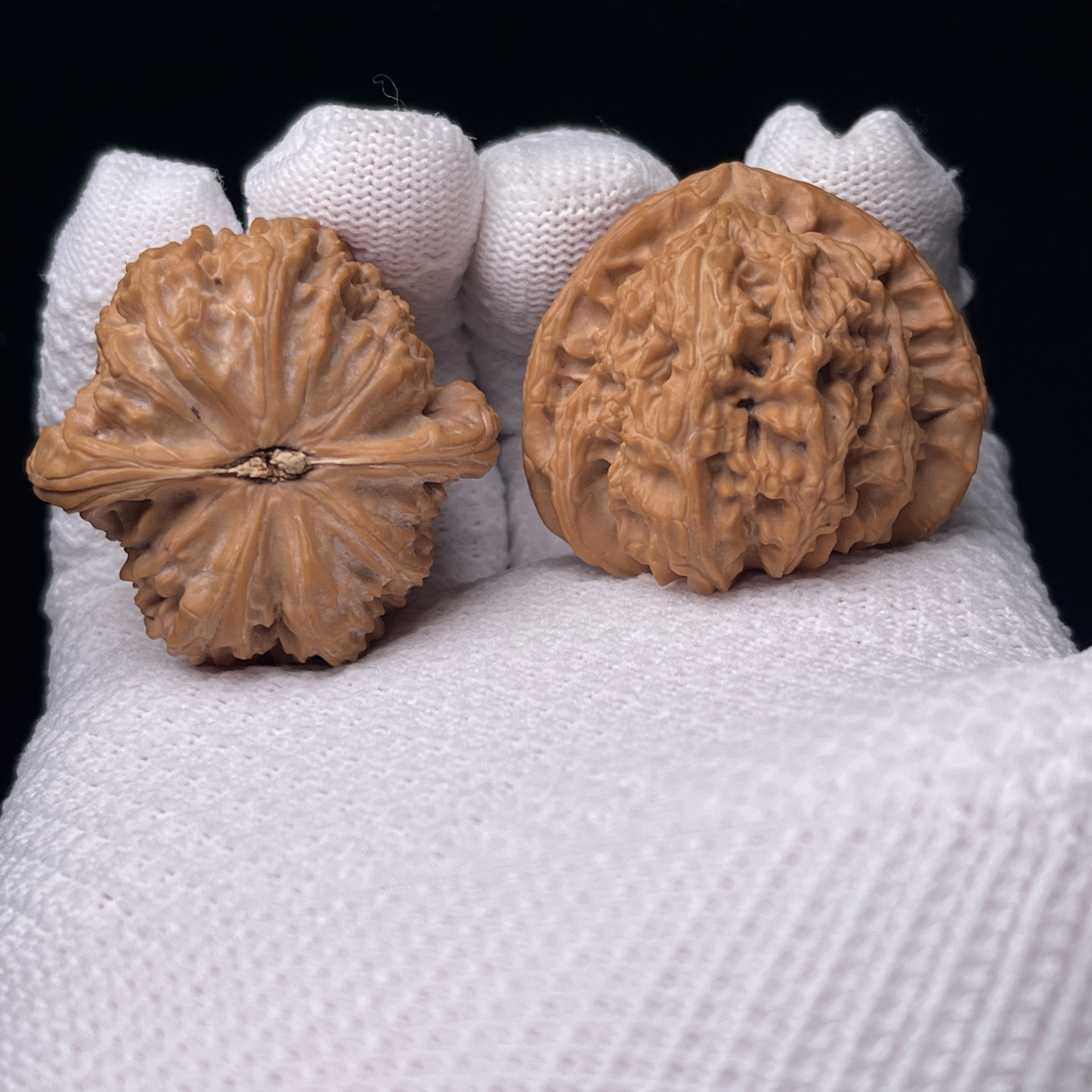 白狮子核桃三角白全品红皮尺寸39.5编号为（A 227）