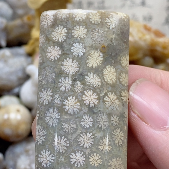 颈饰未镶嵌硅化珊瑚（珊瑚玉）明**光