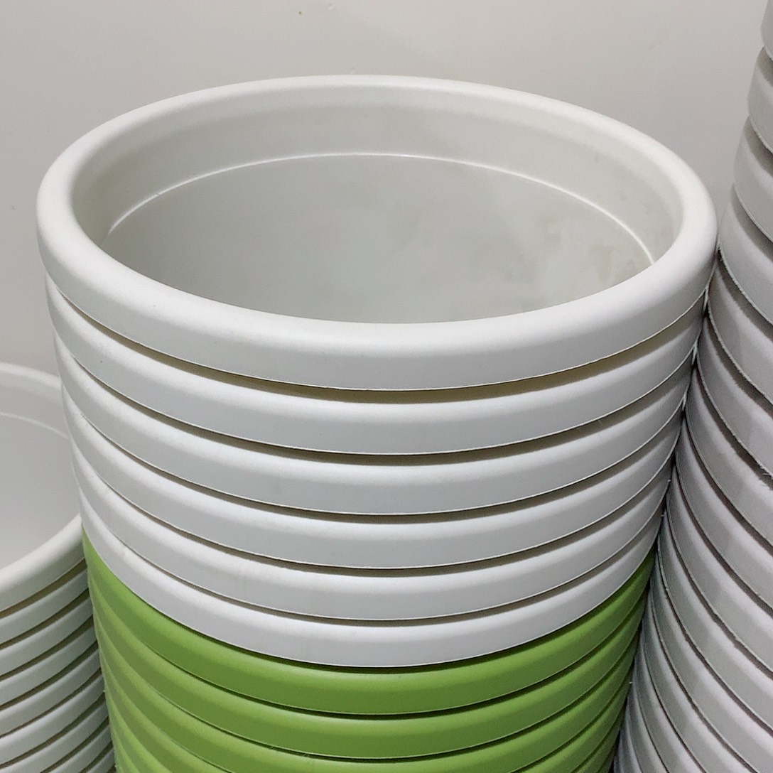 树脂四季口29白6个无托老