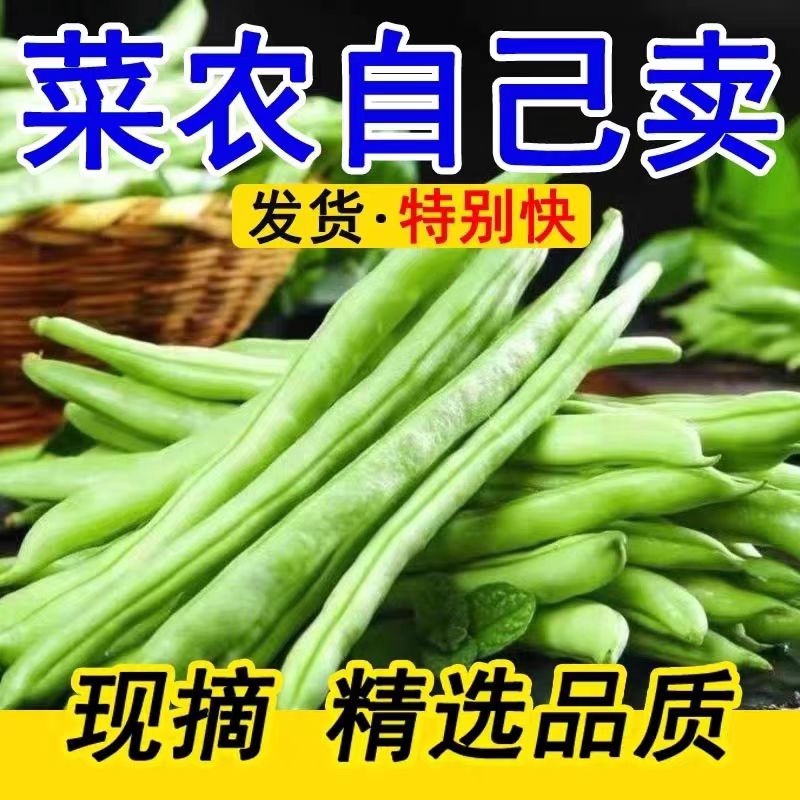 【新鲜四季豆】云南山地露天四季豆当季豆角新鲜蔬菜