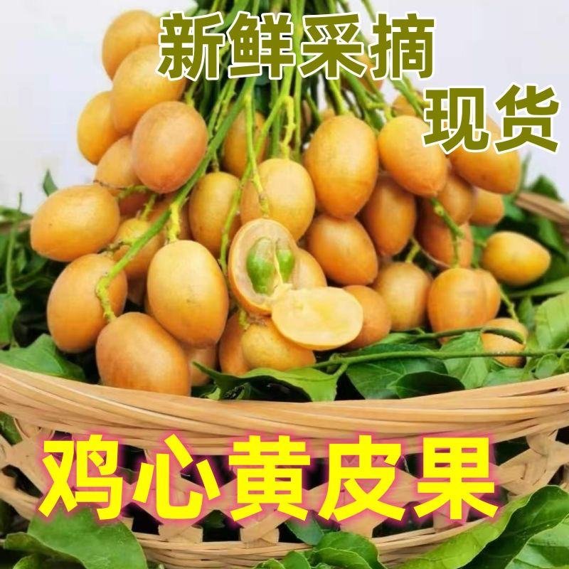 【顺丰包邮】广西鸡心黄皮果现摘现发当季酸甜水果现货包邮
