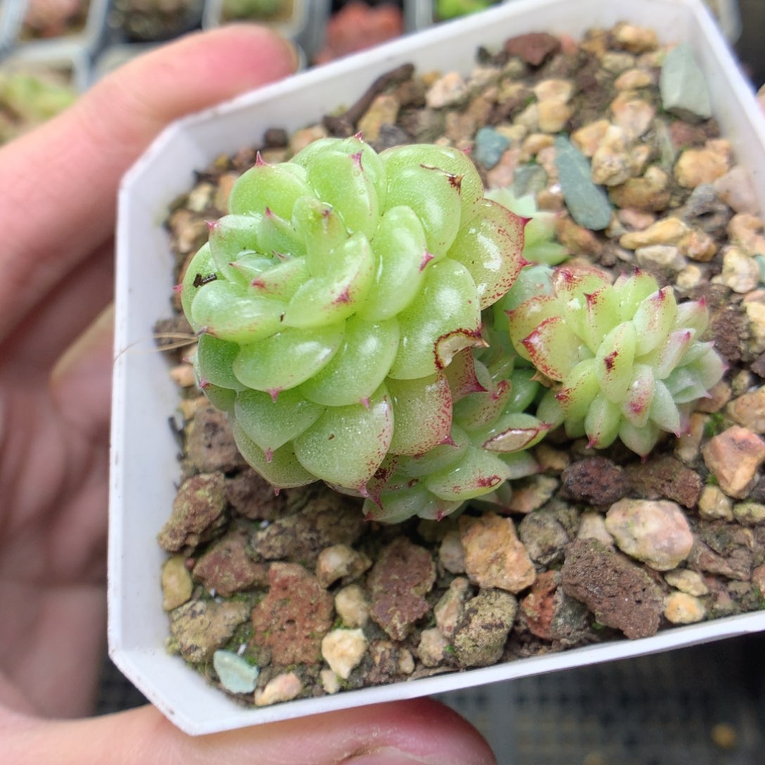 W19y y y y y y y y y