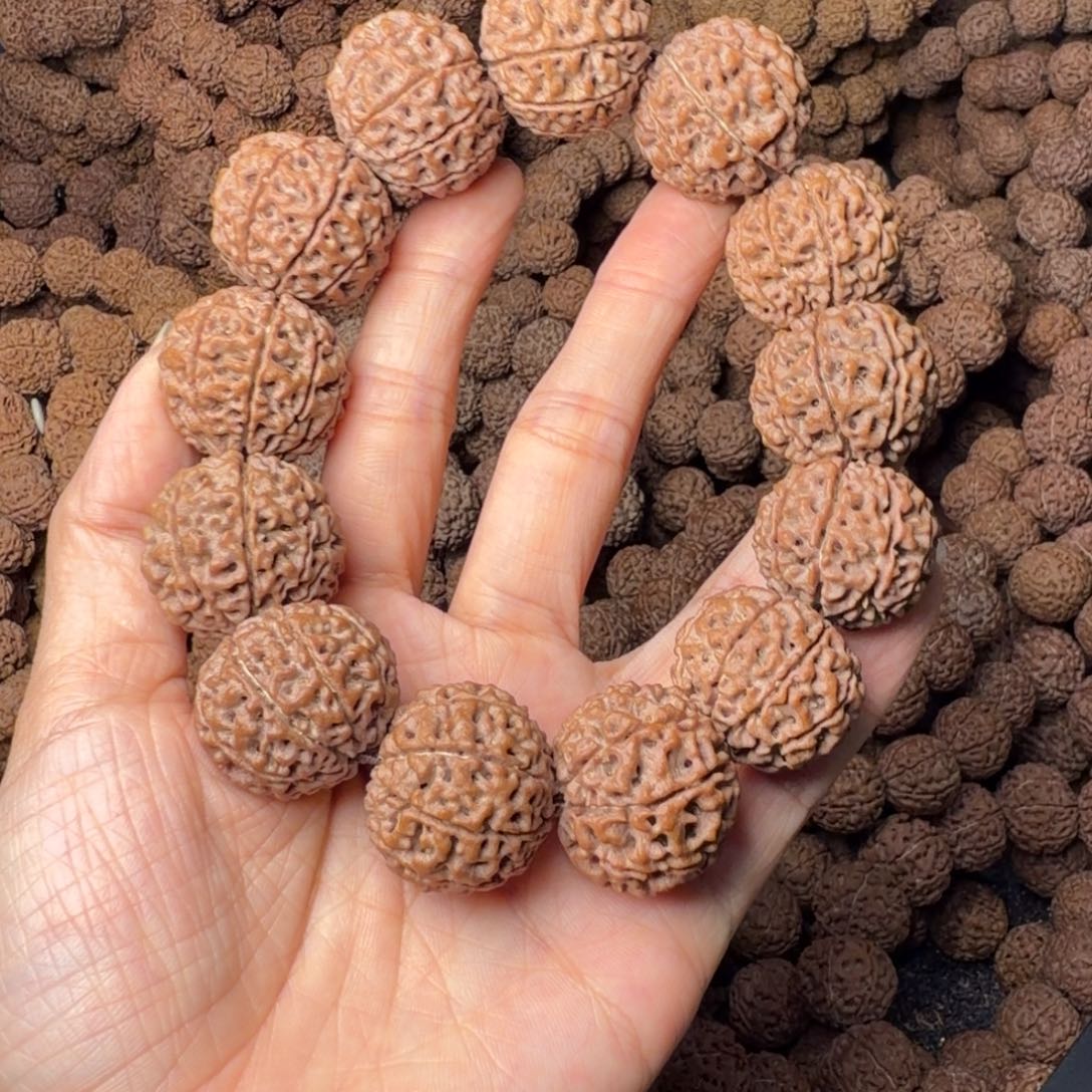 金刚菩提手串9瓣卡25尺，65号