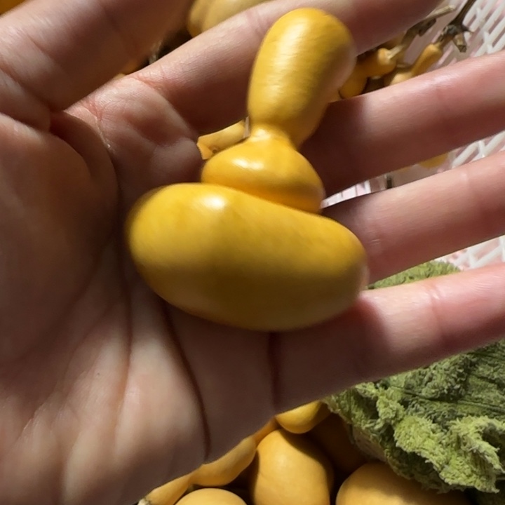 ****爱钱袋子葫芦手把件葫芦