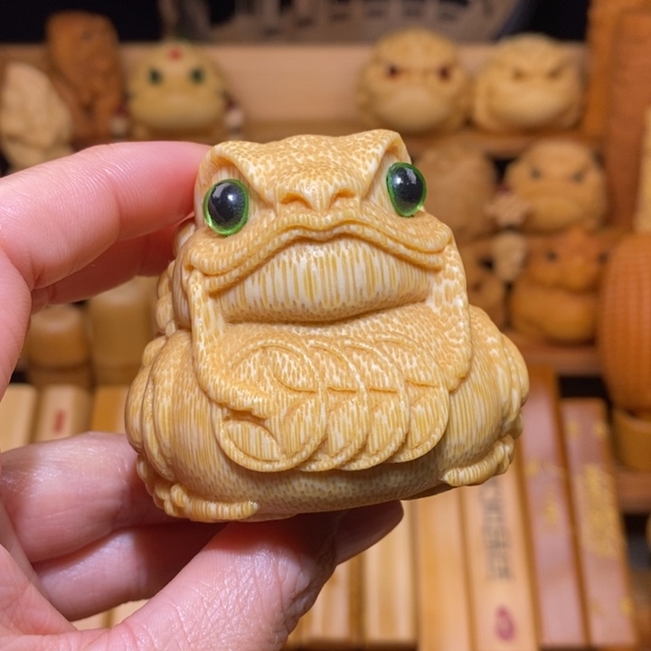 竹鹰嘴金蟾6.1腰缠万贯