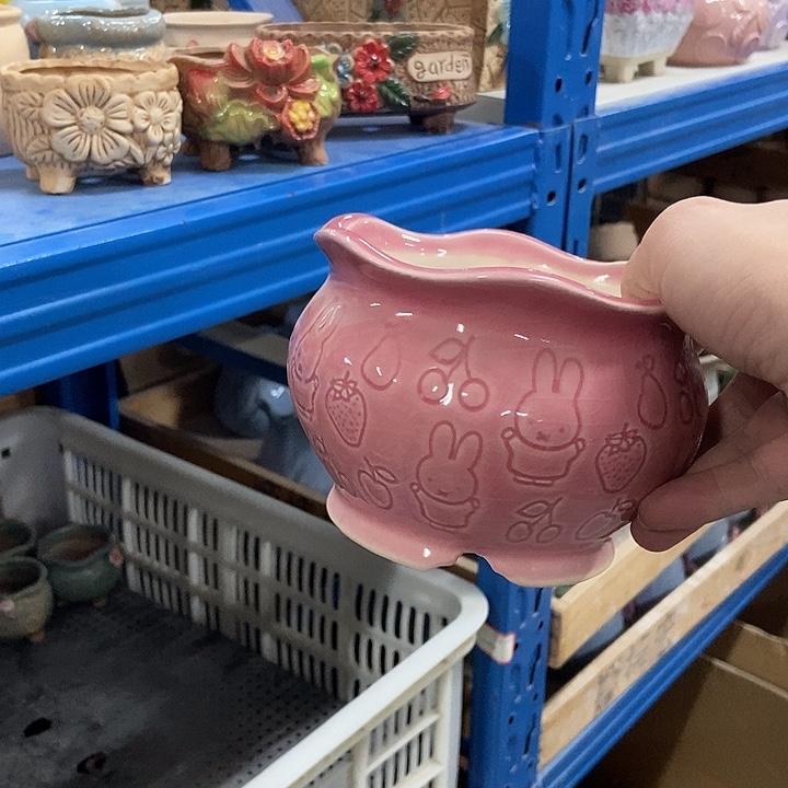 花盆单场满9.9发货13×9兔子樱桃