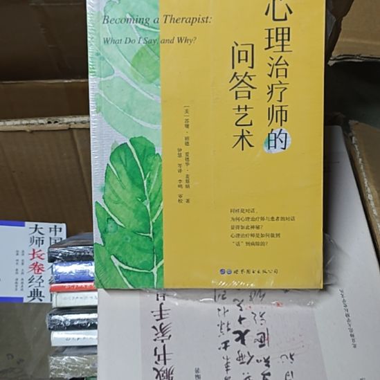 心理治疗师的问答艺术平装库存书