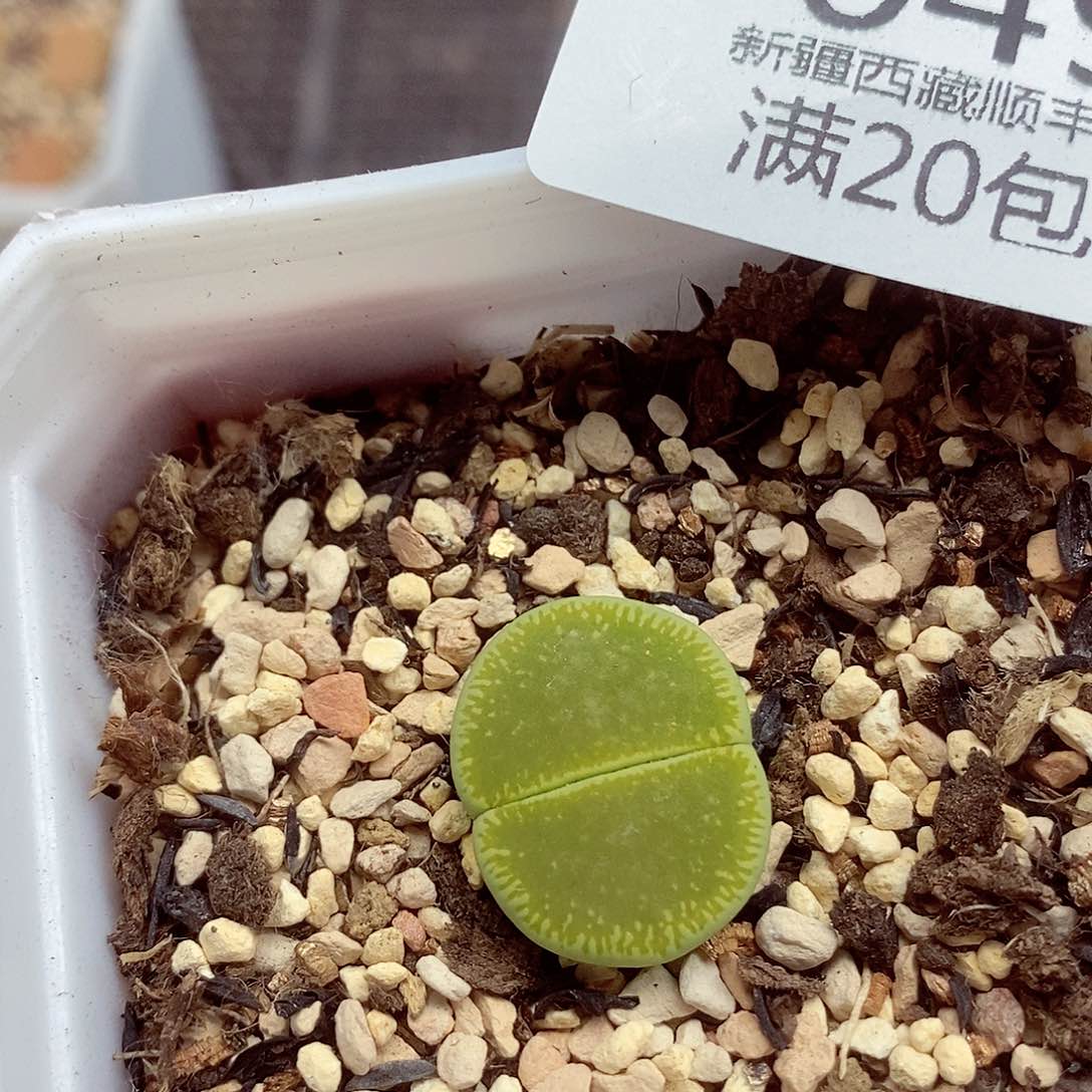 我们一起暴富吧049