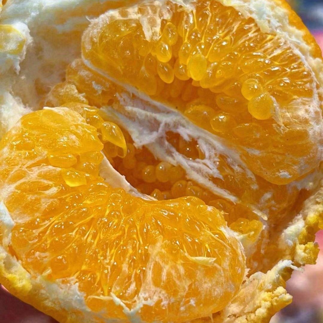 【金狐狸春见耙耙柑】纯甜春见上线，28元2斤特惠福利四川省