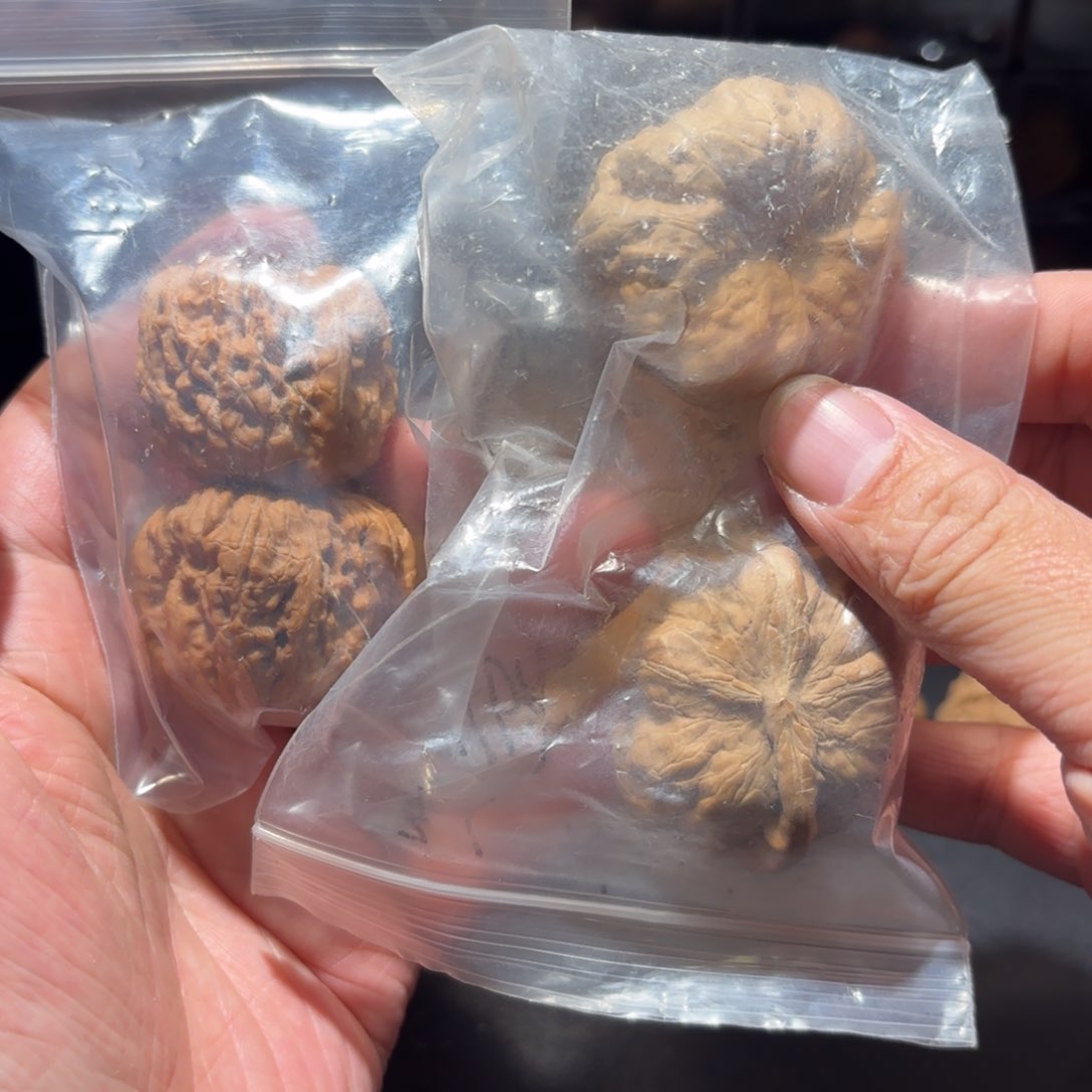 有*福袋福利不退不换