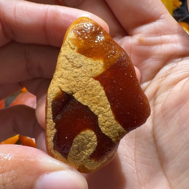 定制琥珀未镶嵌定制