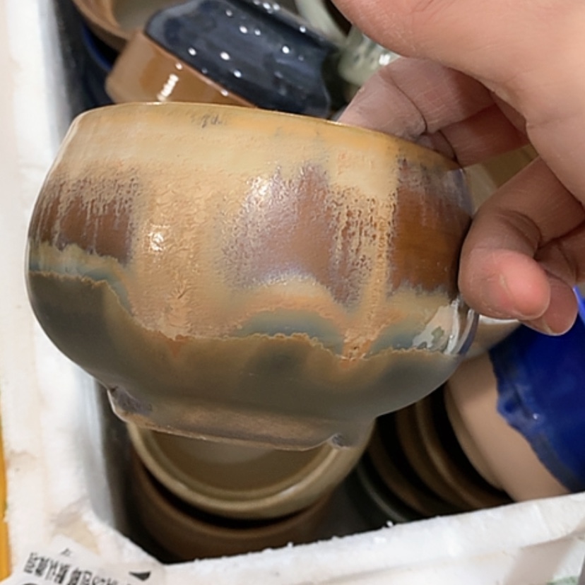 【闪购商品】红陶口10