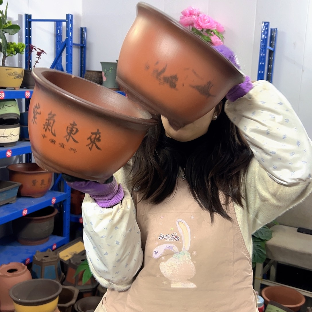 20+20紫气东来花盆花盆花盆